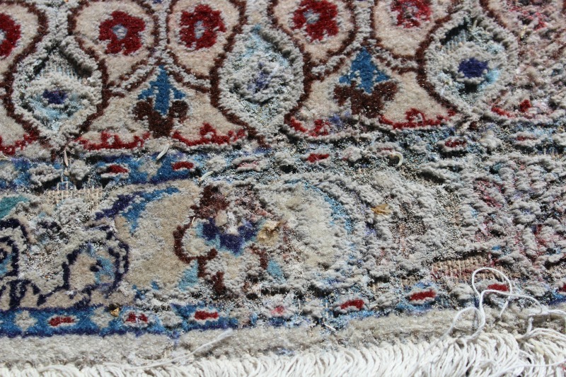 PHOTOS Beware Killer Moths When You Store Your Area Rugs! Sedona AZ